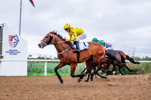 20261018 – MADRA RUA wins Fairview – 914 (2)