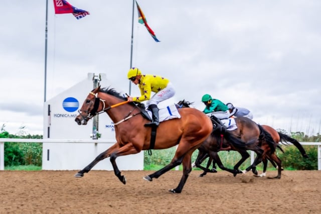 20261018 – MADRA RUA wins Fairview – 914 (3)