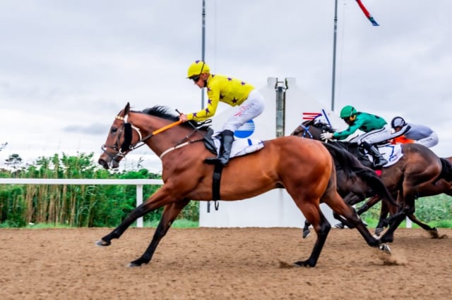 20261018 – MADRA RUA wins Fairview – 914 (4)