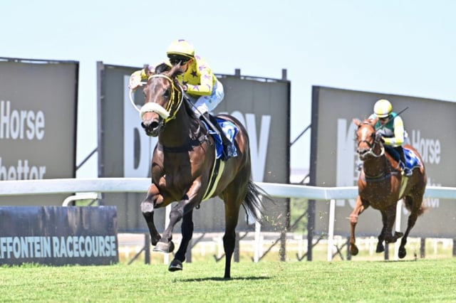 20261022 – BLUNDERBORE wins Turffontein – 915 (1)