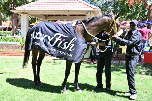 20261022 – BLUNDERBORE wins Turffontein – 915 (10)