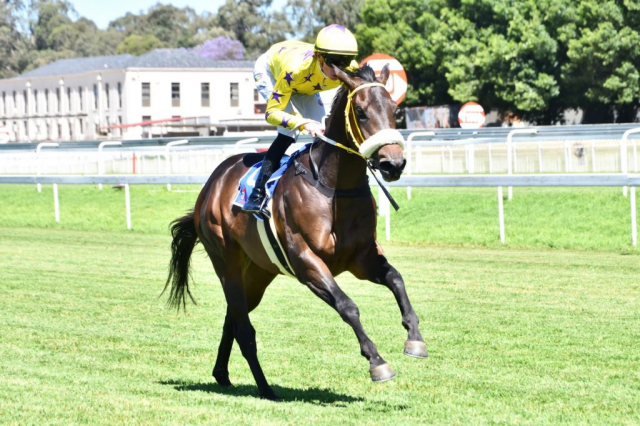 20261022 – BLUNDERBORE wins Turffontein – 915 (12)