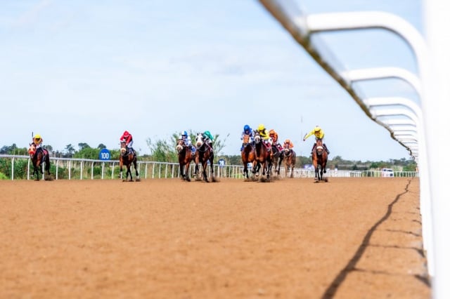 20261023 – WISHES AND DREAMS wins Fairview – 916 (1)