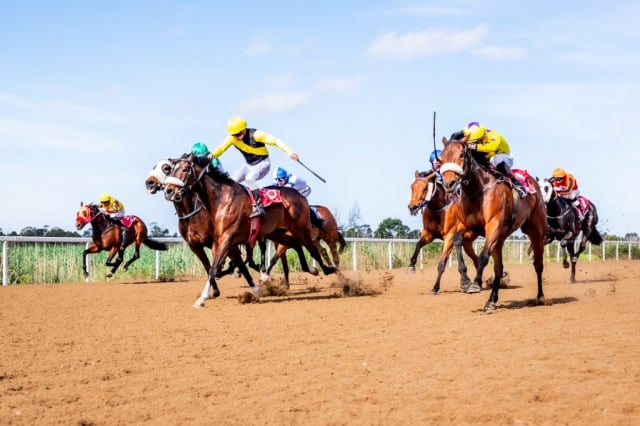 20261023 – WISHES AND DREAMS wins Fairview – 916 (2)