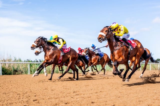 20261023 – WISHES AND DREAMS wins Fairview – 916 (3)