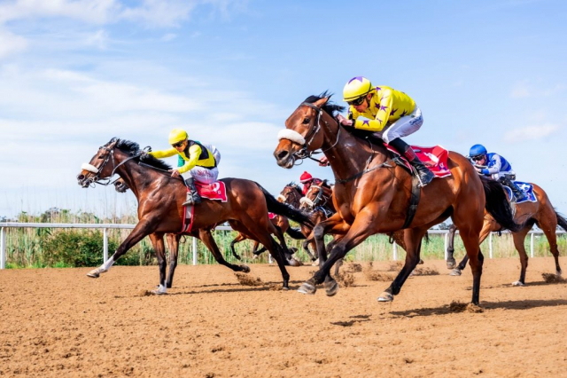 20261023 – WISHES AND DREAMS wins Fairview – 916 (4)