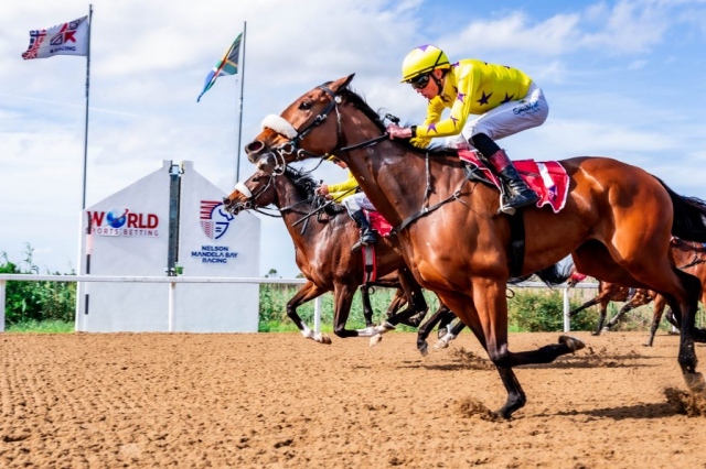 20261023 – WISHES AND DREAMS wins Fairview – 916 (5)