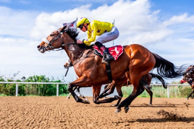 20261023 – WISHES AND DREAMS wins Fairview – 916 (6)