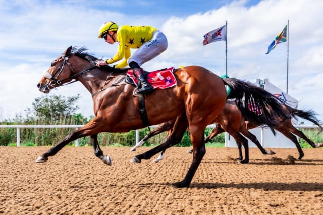 20261023 – WISHES AND DREAMS wins Fairview – 916 (7)